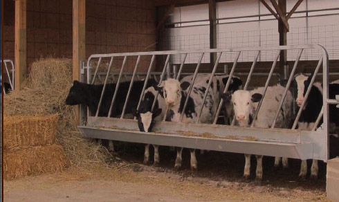 Feed Line-Slant Bars Feeder